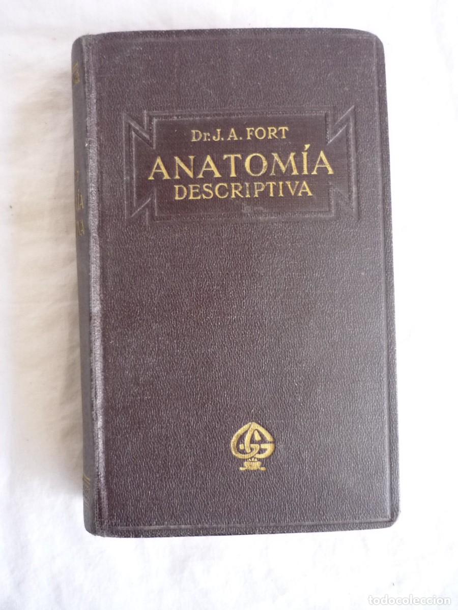 Libros antiguos: Compendio de Anatom&iacute;a Descriptiva J.A. Fort 1925 - Foto 2