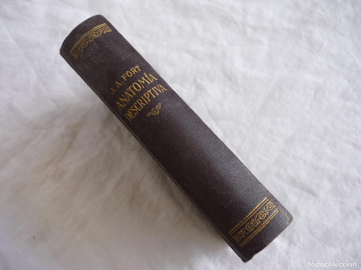 Libros antiguos: Compendio de Anatom&iacute;a Descriptiva J.A. Fort 1925 - Foto 3