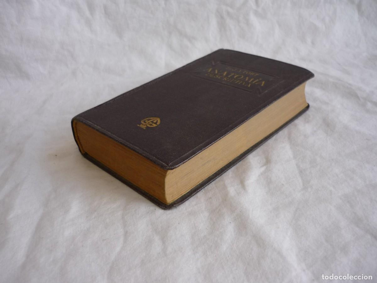 Libros antiguos: Compendio de Anatom&iacute;a Descriptiva J.A. Fort 1925 - Foto 5