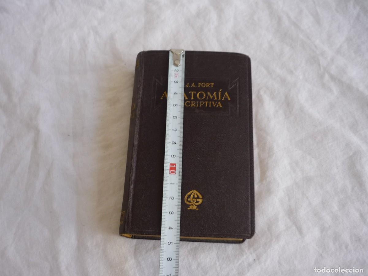 Libros antiguos: Compendio de Anatom&iacute;a Descriptiva J.A. Fort 1925 - Foto 6