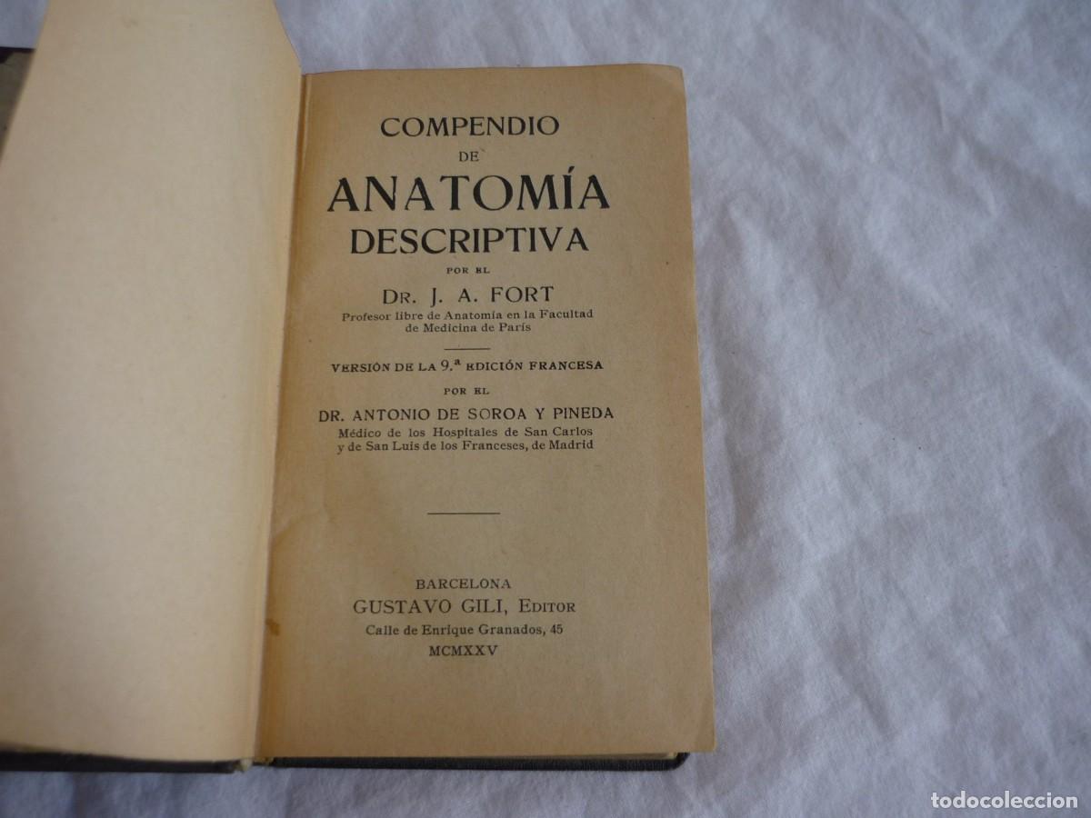 Libros antiguos: Compendio de Anatom&iacute;a Descriptiva J.A. Fort 1925 - Foto 8