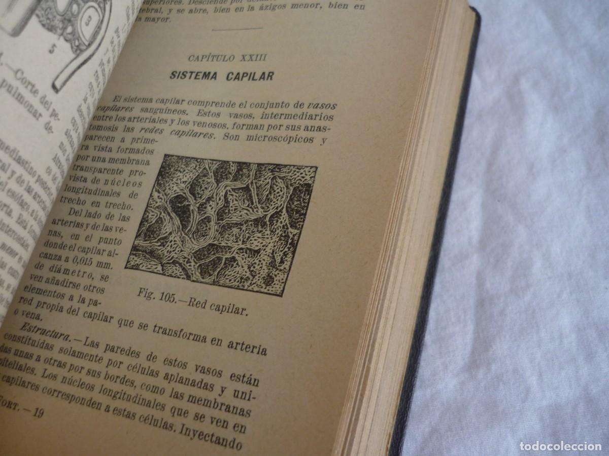 Libros antiguos: Compendio de Anatom&iacute;a Descriptiva J.A. Fort 1925 - Foto 10