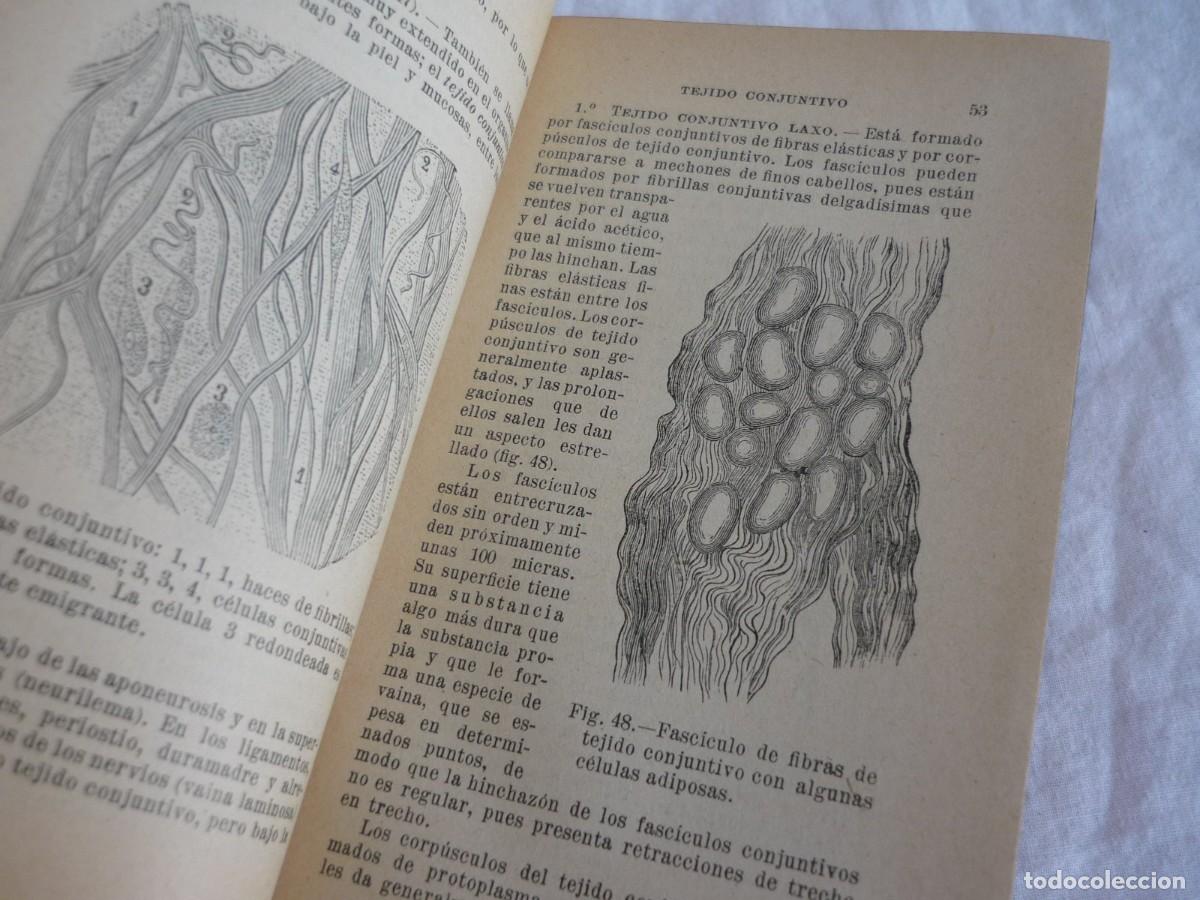 Libros antiguos: Compendio de Anatom&iacute;a Descriptiva J.A. Fort 1925 - Foto 11