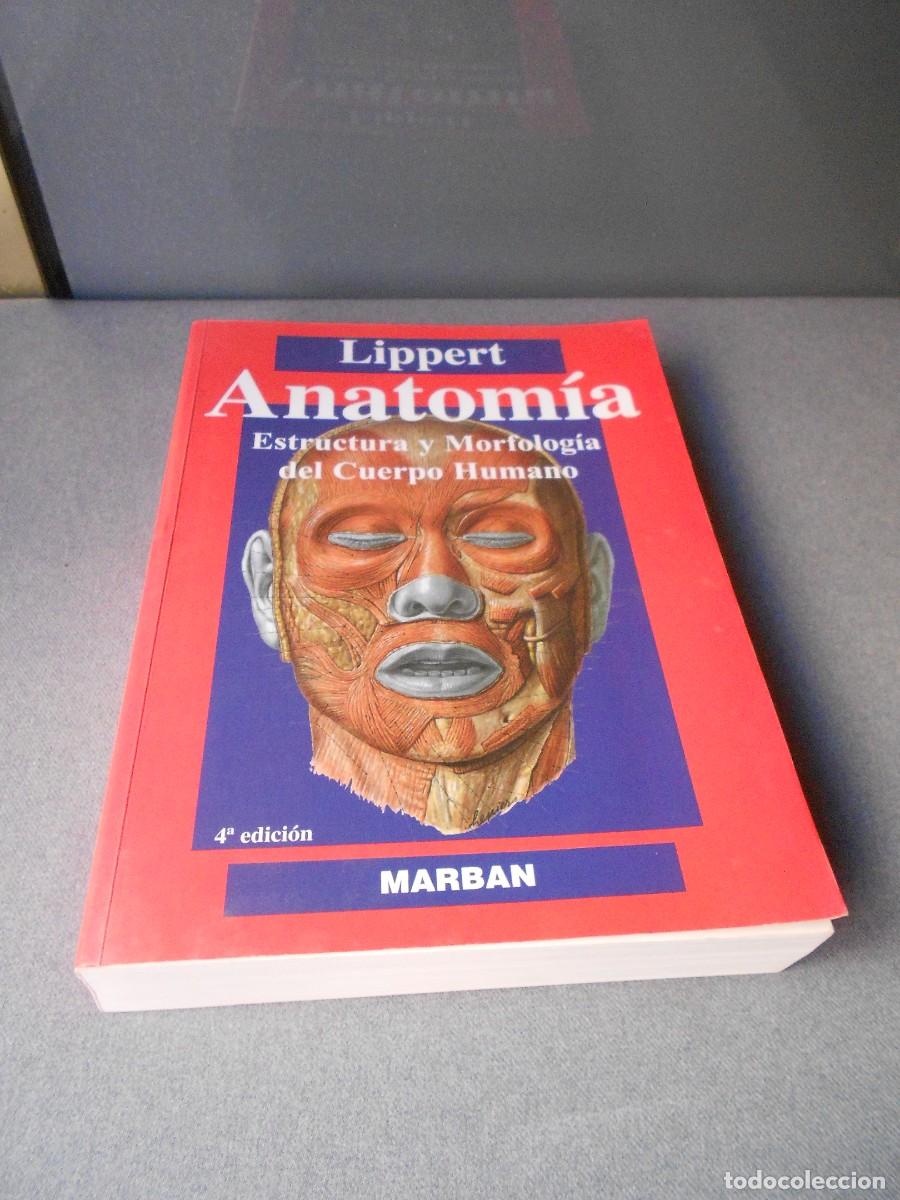Libros antiguos: ANATOMIA - Foto 1