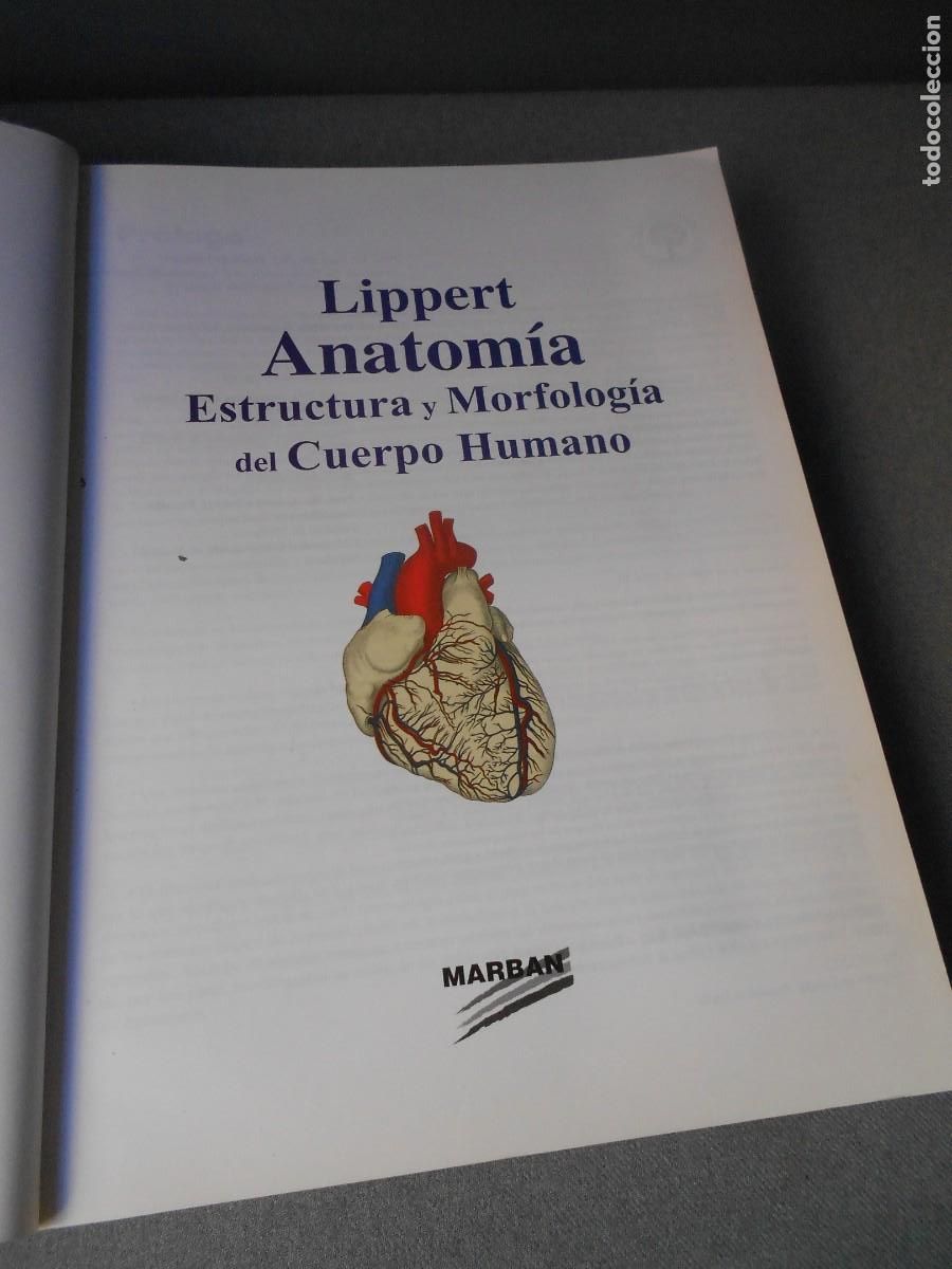 Libros antiguos: ANATOMIA - Foto 2