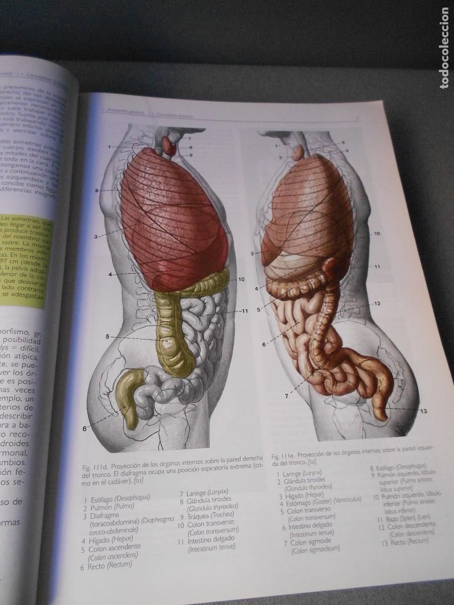 Libros antiguos: ANATOMIA - Foto 3
