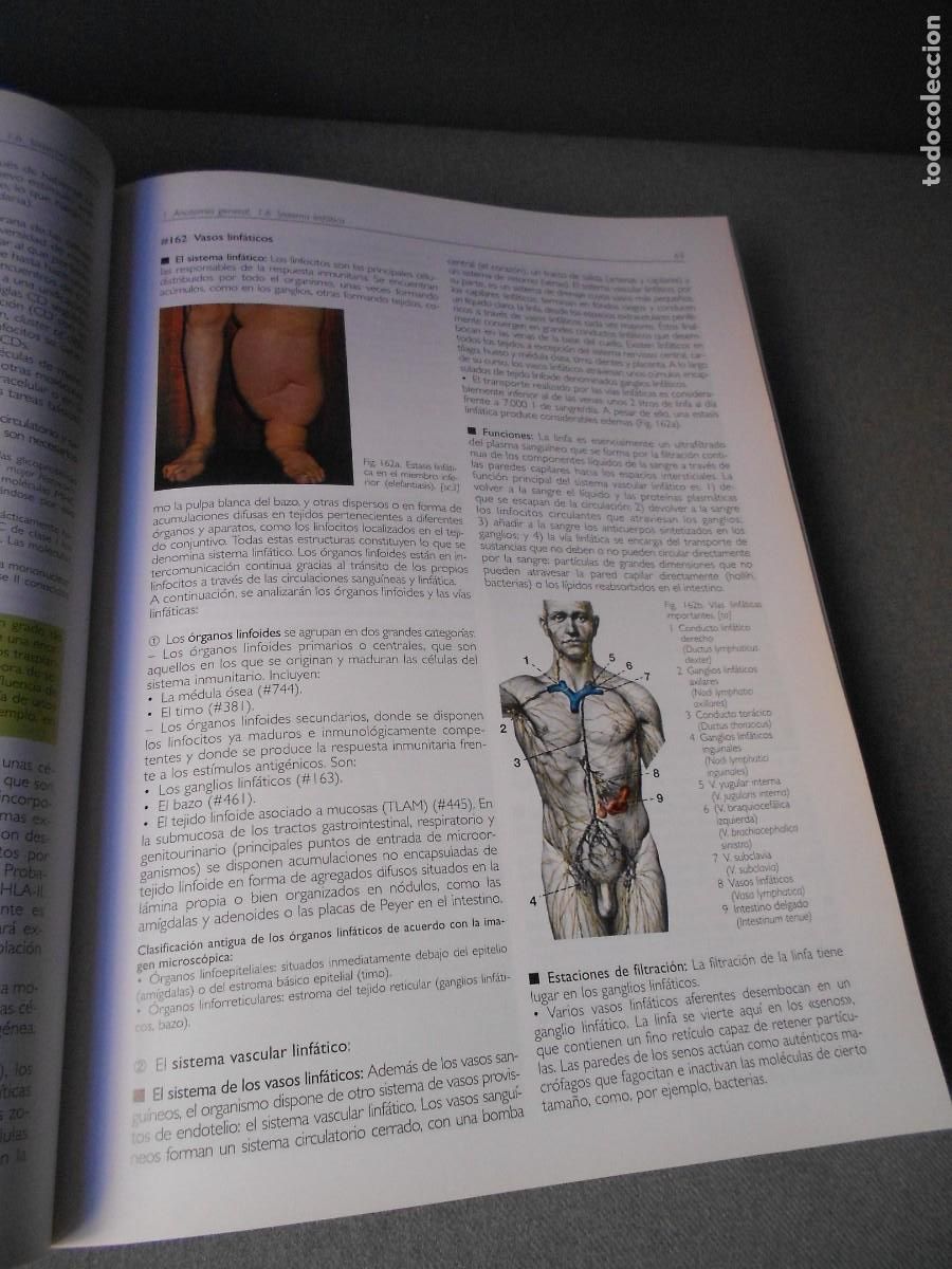 Libros antiguos: ANATOMIA - Foto 4