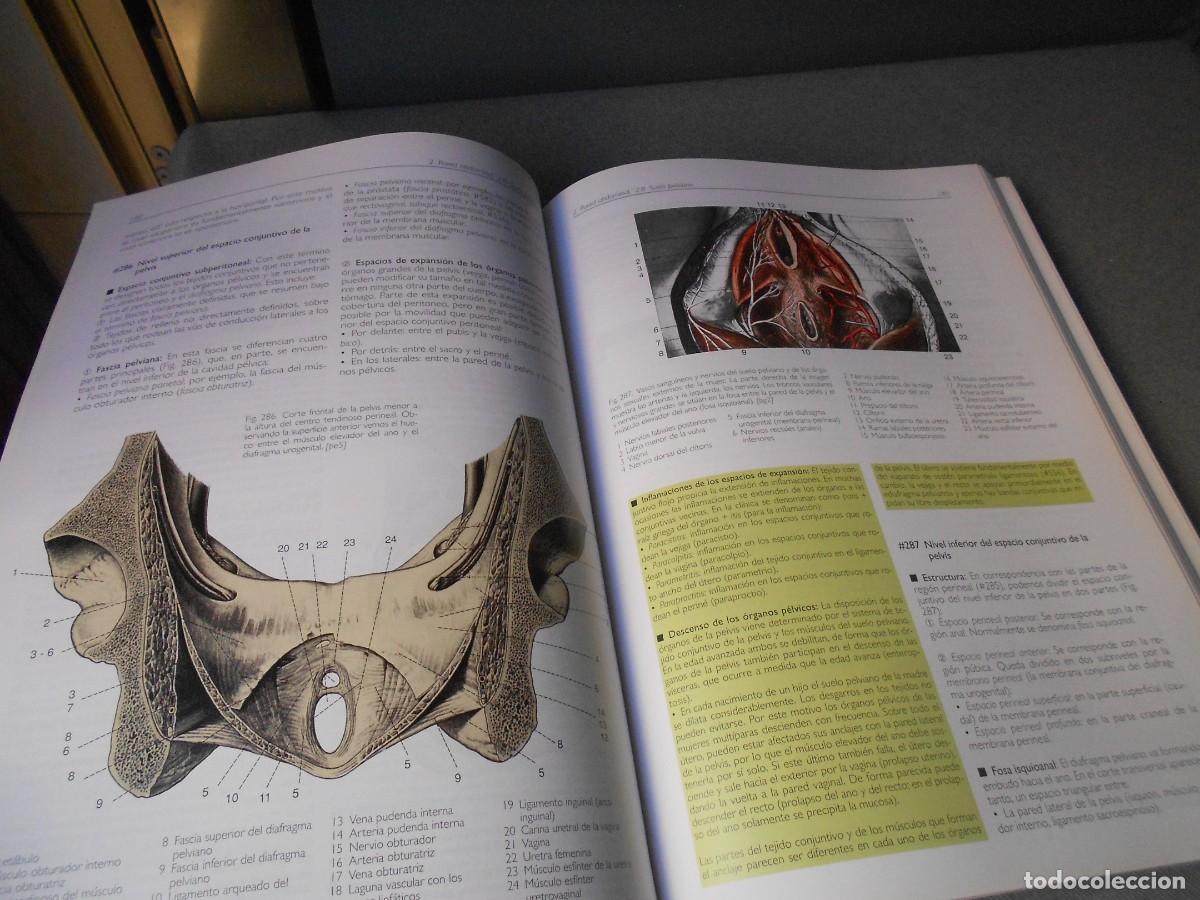Libros antiguos: ANATOMIA - Foto 5