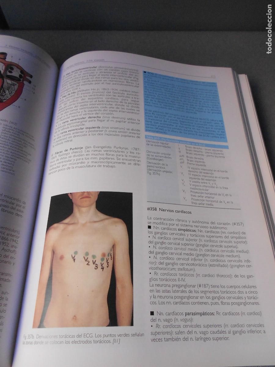 Libros antiguos: ANATOMIA - Foto 6