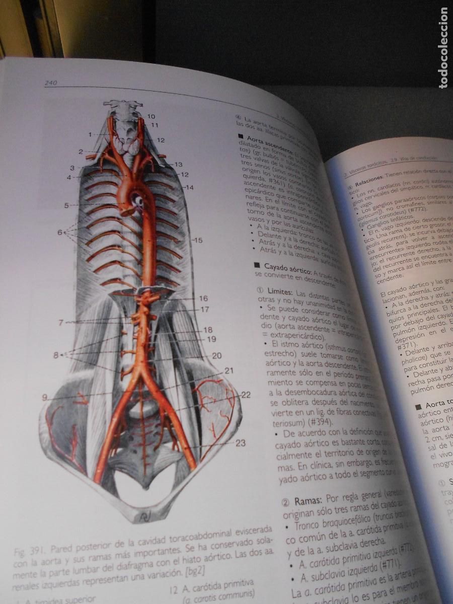 Libros antiguos: ANATOMIA - Foto 7