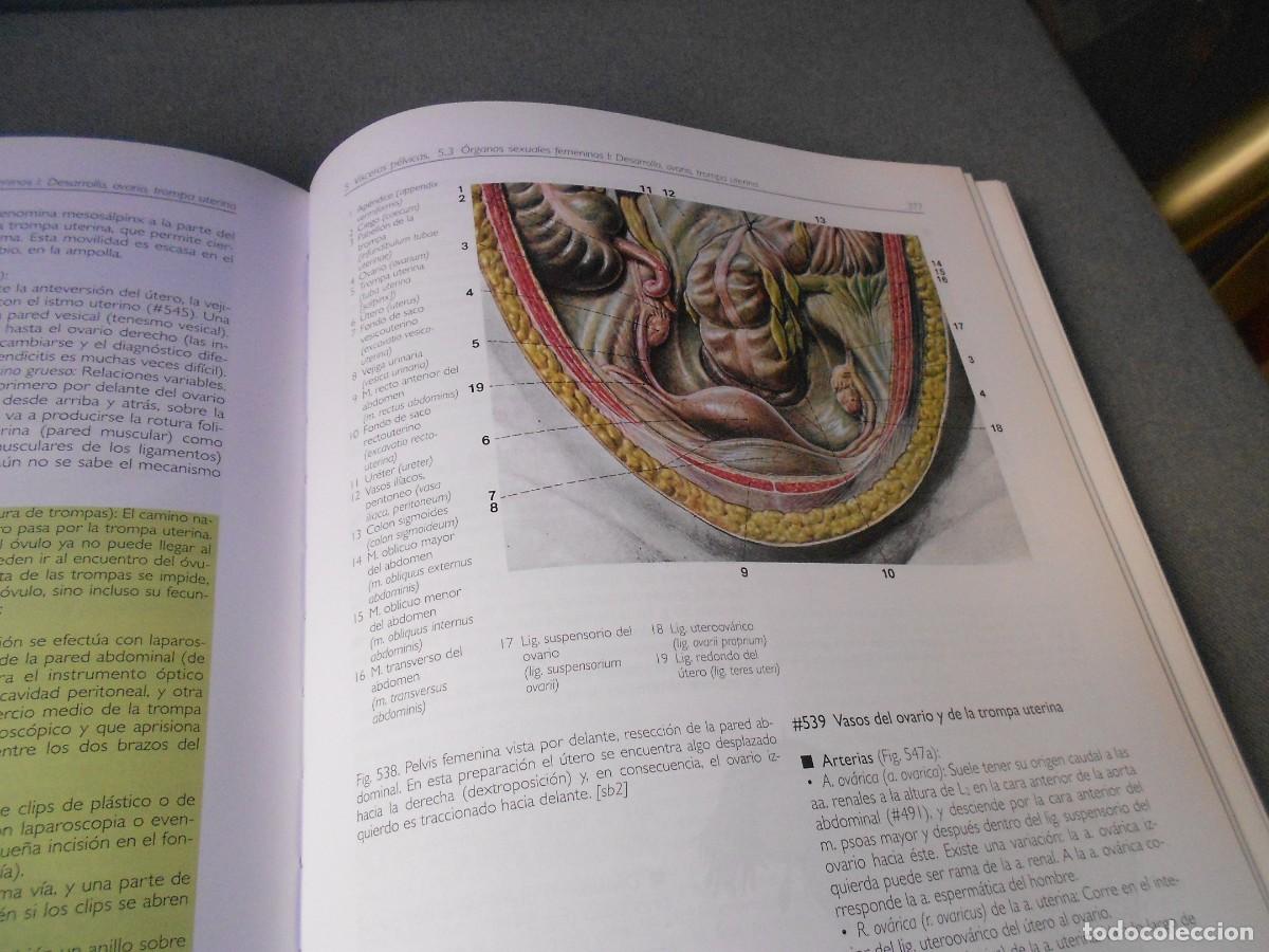 Libros antiguos: ANATOMIA - Foto 8