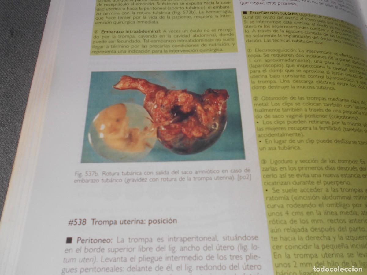 Libros antiguos: ANATOMIA - Foto 9