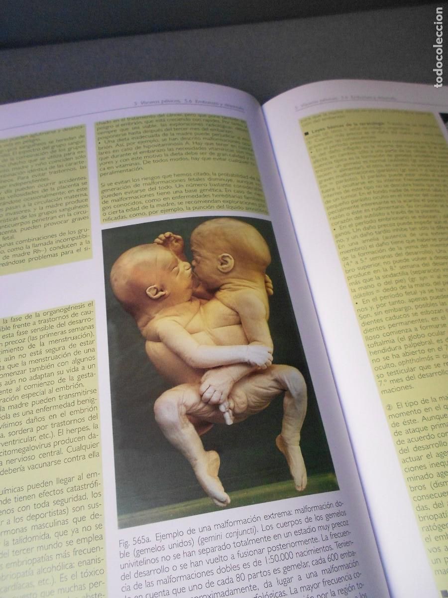 Libros antiguos: ANATOMIA - Foto 10