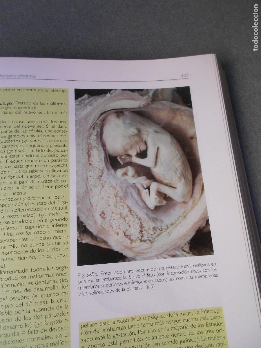 Libros antiguos: ANATOMIA - Foto 11