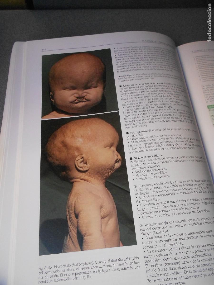 Libros antiguos: ANATOMIA - Foto 12