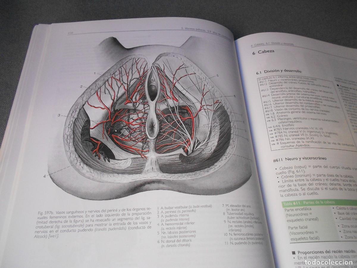 Libros antiguos: ANATOMIA - Foto 13