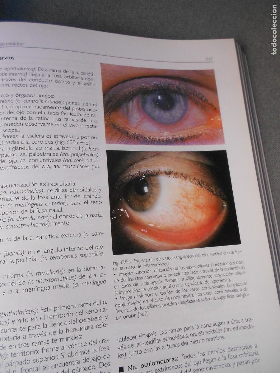 Libros antiguos: ANATOMIA - Foto 14