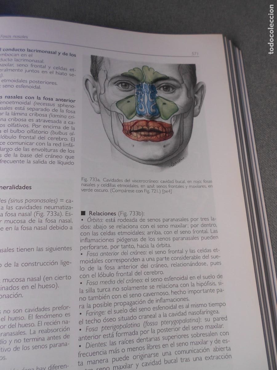 Libros antiguos: ANATOMIA - Foto 15