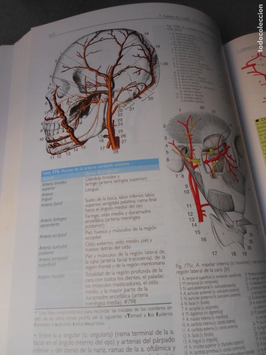 Libros antiguos: ANATOMIA - Foto 16