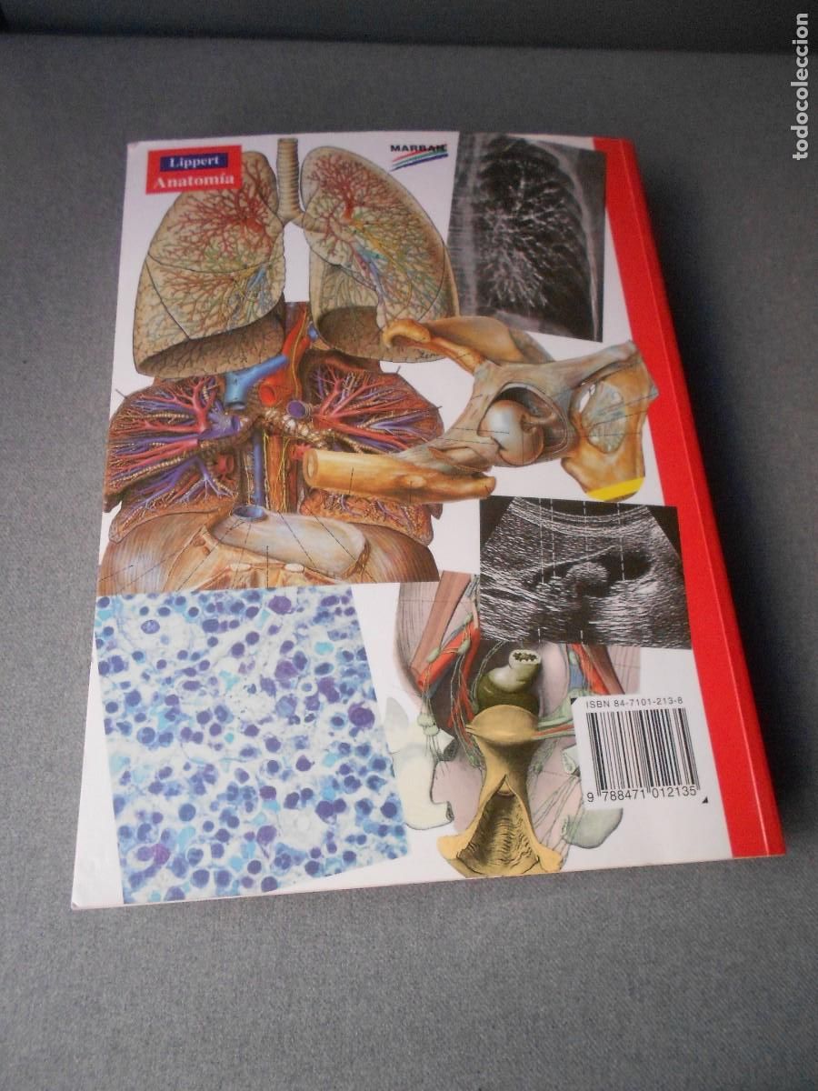 Libros antiguos: ANATOMIA - Foto 17