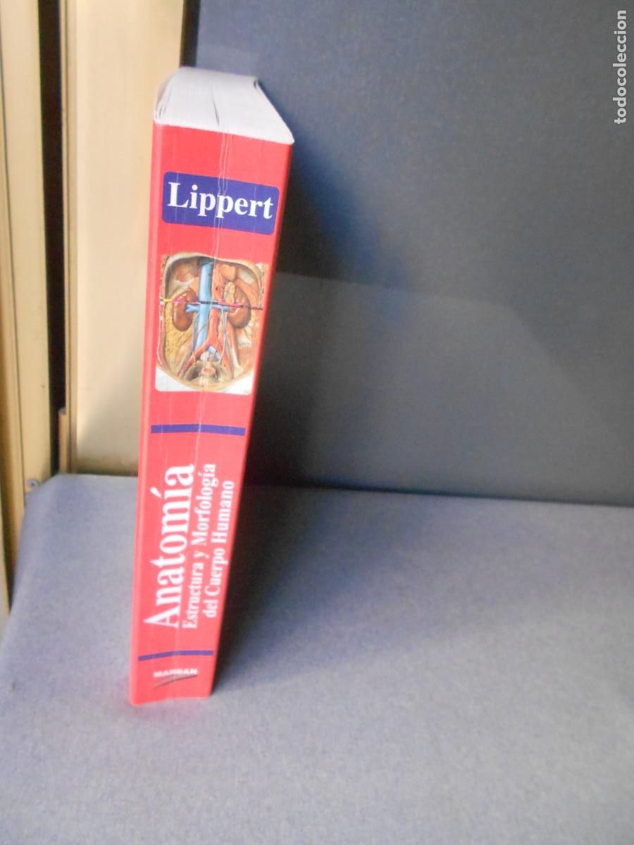 Libros antiguos: ANATOMIA - Foto 18