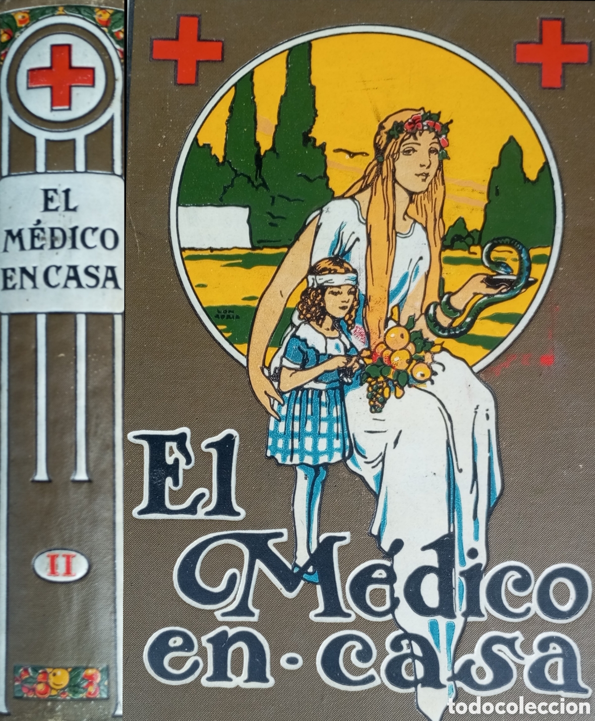 Libri antichi: EL MEDICO EN CASA TOMO II REIMPRESI&Oacute;N 1935.