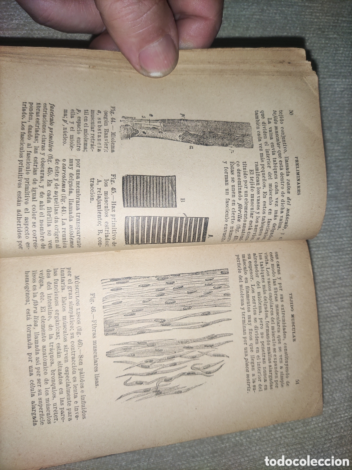 Libros antiguos: Compendio de Anatom&iacute;a Descriptiva. - Foto 3