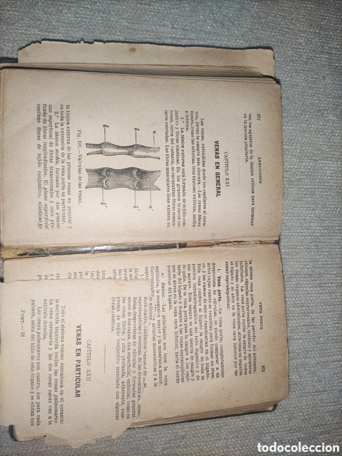 Libros antiguos: Compendio de Anatom&iacute;a Descriptiva. - Foto 5