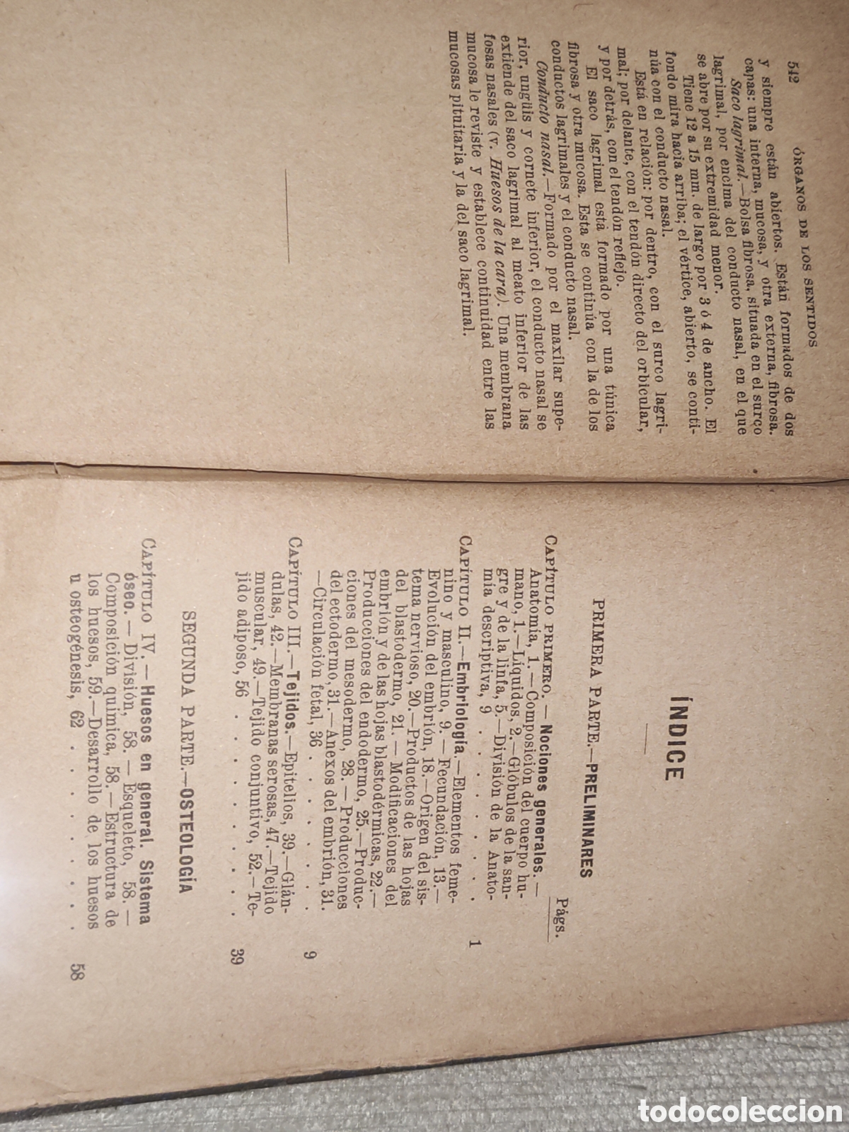 Libros antiguos: Compendio de Anatom&iacute;a Descriptiva. - Foto 8