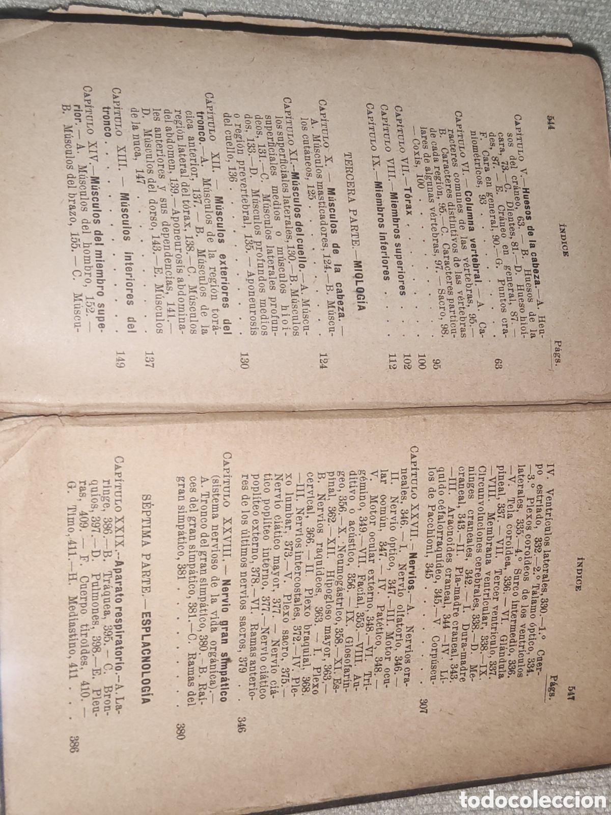 Libros antiguos: Compendio de Anatom&iacute;a Descriptiva. - Foto 9