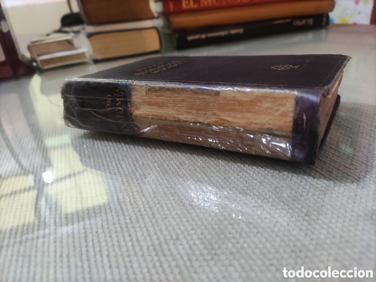 Libros antiguos: Compendio de Anatom&iacute;a Descriptiva. - Foto 12