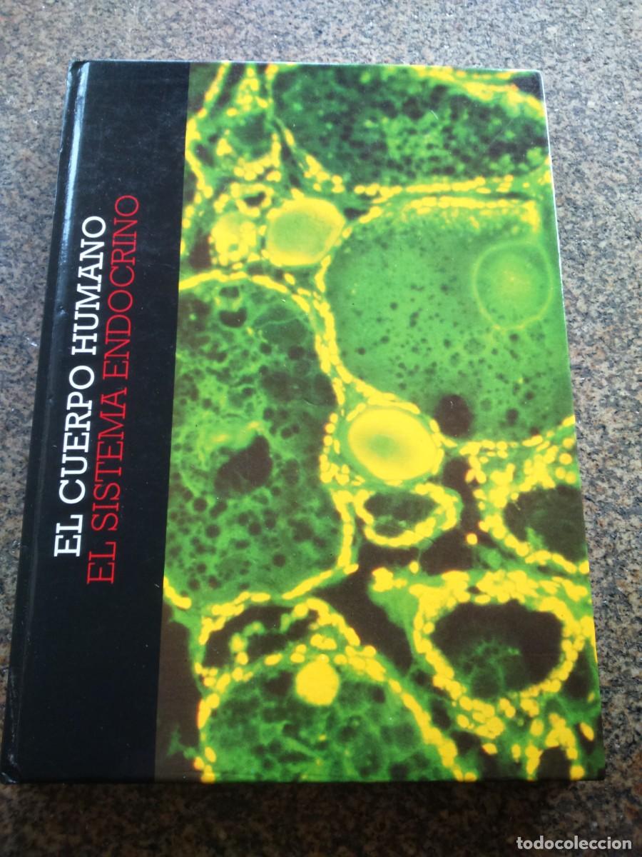 Libri antichi: EL CUERPO HUMANO - EL SISTEMA ENDOCRINO. MENSAJEROS PRODIGIOSOS -- 1992 --