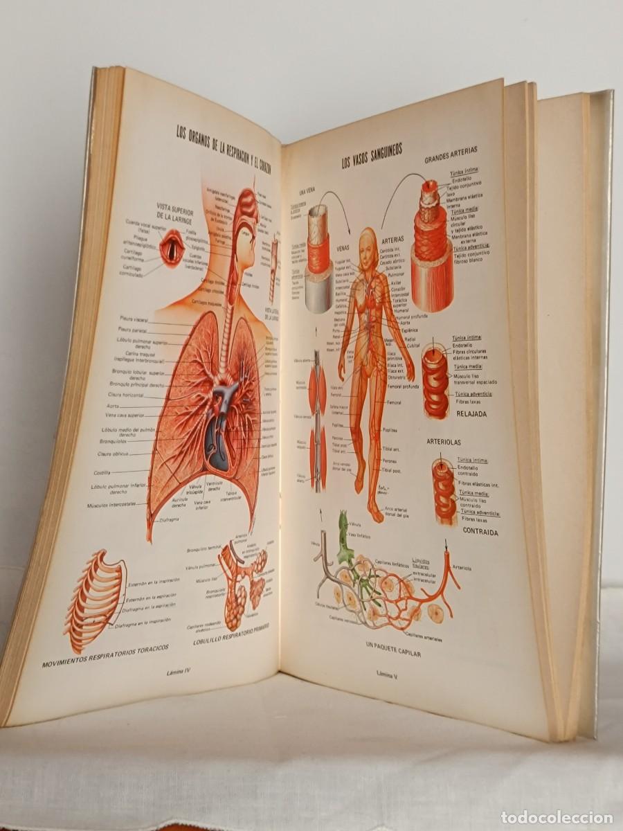 Libros antiguos: Elementos de Anatom&iacute;a - Foto 2