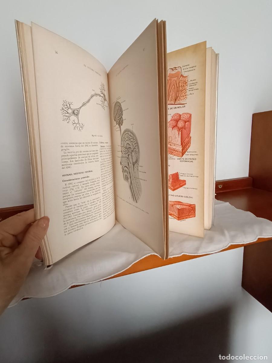 Libros antiguos: Elementos de Anatom&iacute;a - Foto 4