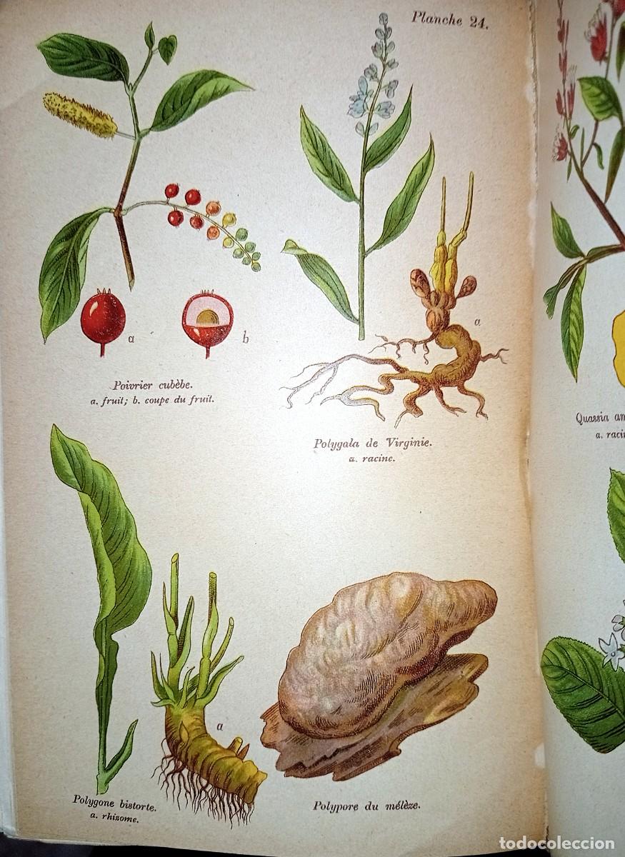 Libros antiguos: LES PLANTES M&Eacute;DICINALES - Foto 5