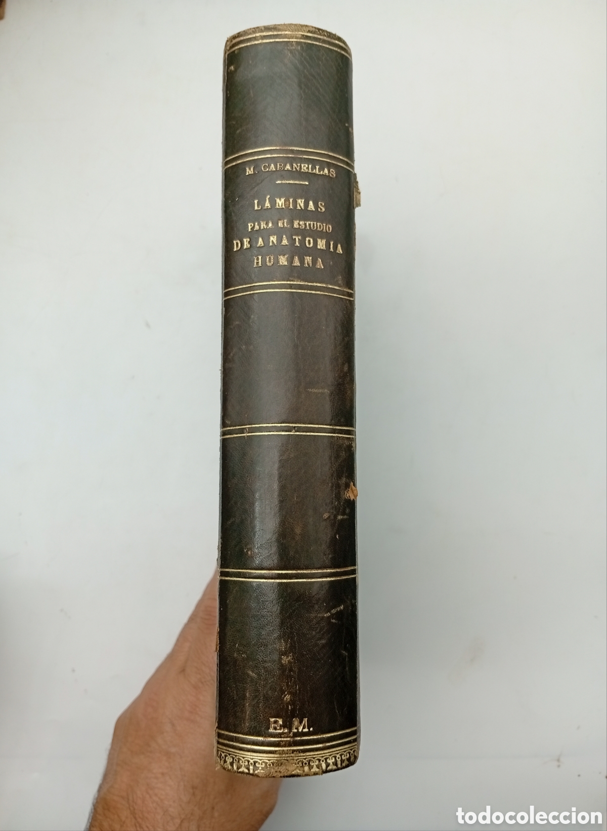 Libros antiguos: L&aacute;minas de Anatom&iacute;a humana Cabanellas 1892