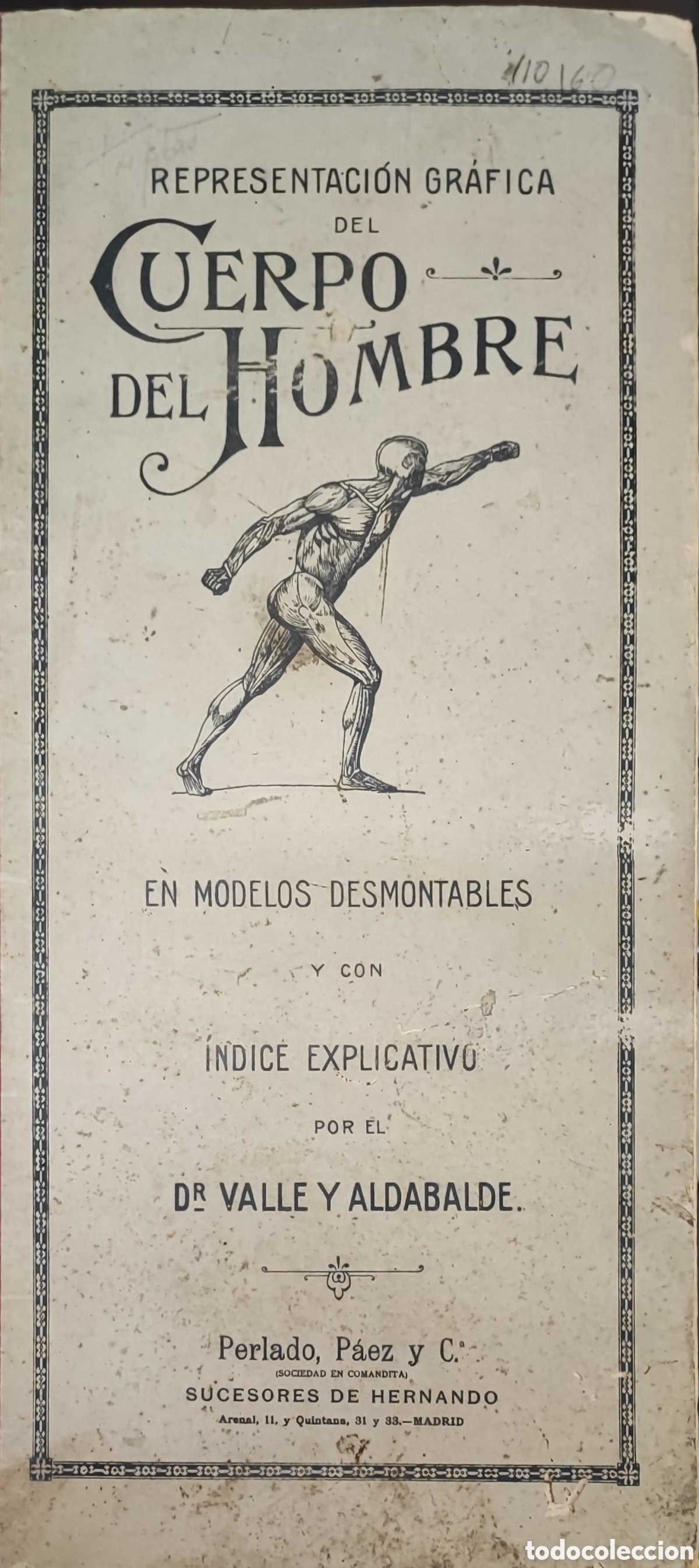 Libri antichi: Representaci&oacute;n gr&aacute;fica del cuerpo del hombre en modelos desmontables. Valle y Aldabalde. 1900?