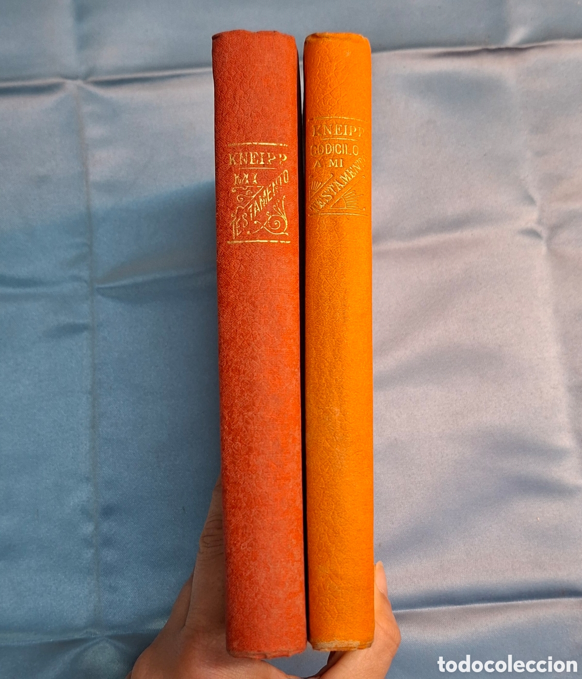 Libros antiguos: Colecci&oacute;n S. Kneipp: Mi Testamento y Codicilo - Foto 3