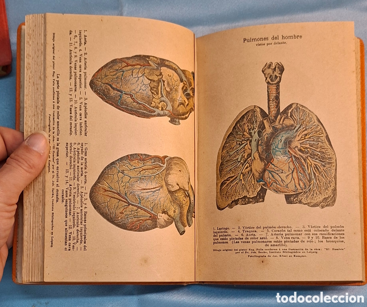Libros antiguos: Colecci&oacute;n S. Kneipp: Mi Testamento y Codicilo - Foto 4