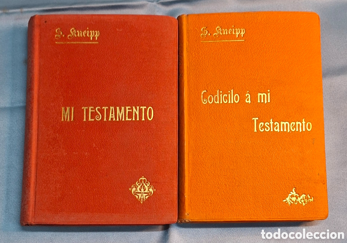 Libros antiguos: Colecci&oacute;n S. Kneipp: Mi Testamento y Codicilo - Foto 1