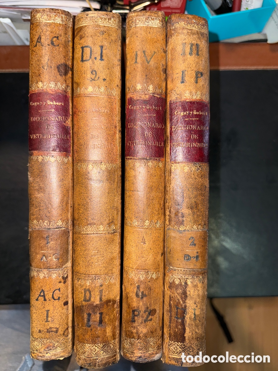 Libri antichi: CAGNY, P. Diccionario de veterinaria
