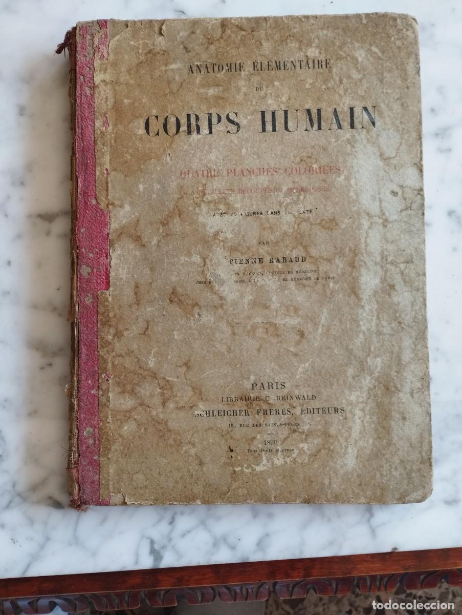 Livres anciens: ANATOMIA DEL CUERPO HUMANO - A&Ntilde;O 1899 - LAMINAS DESMONTABLES.