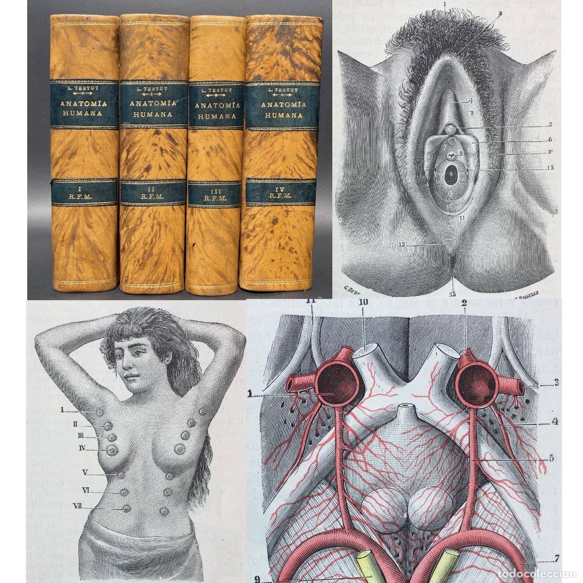 Libros antiguos: A&ntilde;o 1923 - Tratado de anatom&iacute;a topogr&aacute;fica - Testut - Medicina