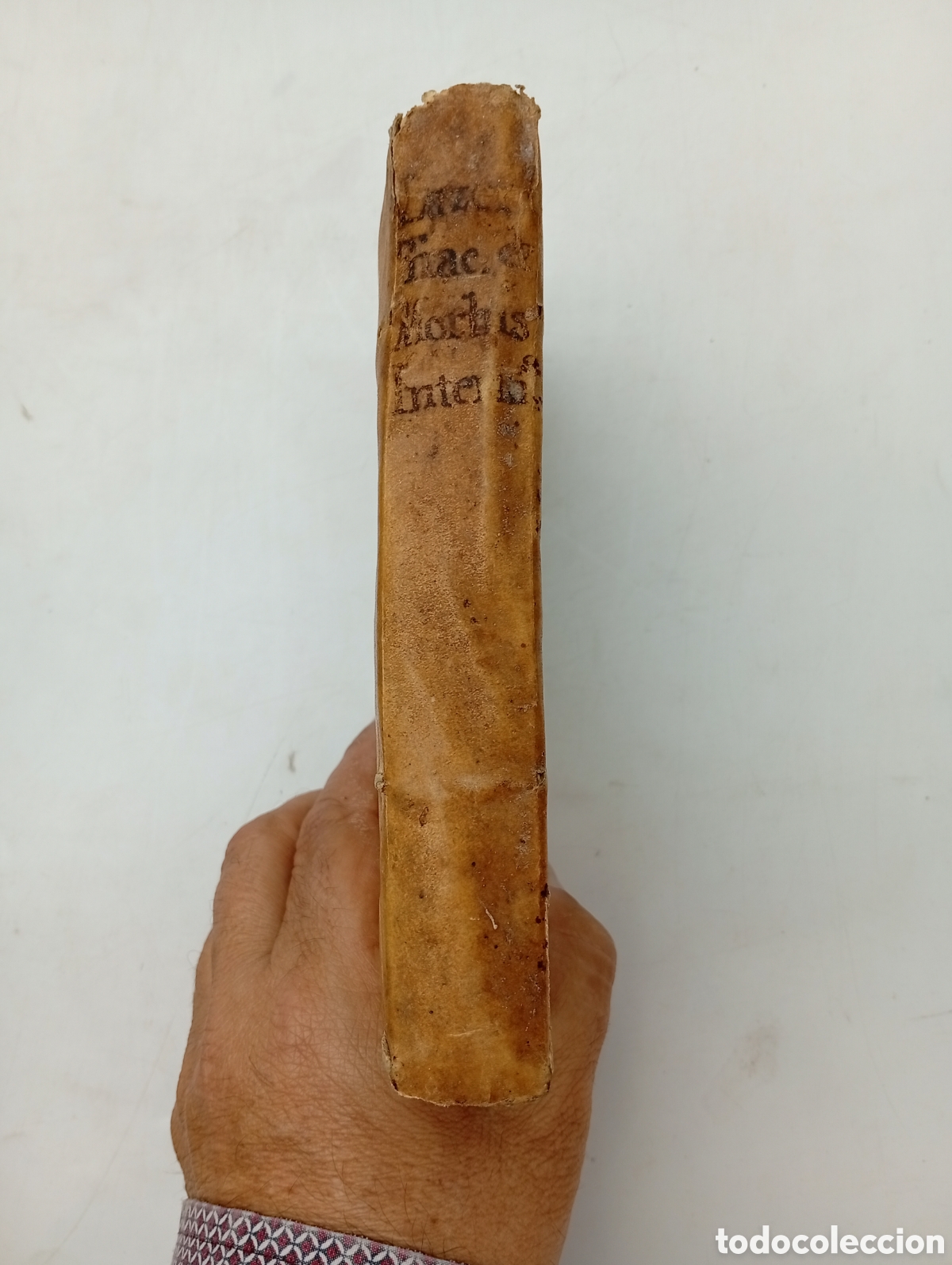 Antiquarische B&uuml;cher: Enfermedades cerebro a&ntilde;o 1750 Morbis Internis Jacobi Lazerme