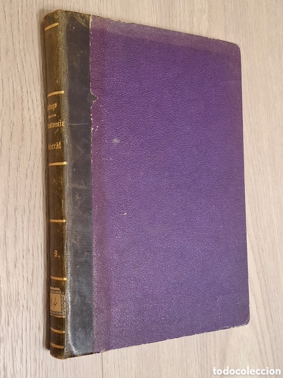 Antiquarische B&uuml;cher: Elementos de anatom&iacute;a general o histolog&iacute;a comparada por Francisco Ortego y Navas 1873, 2&ordf; Ed.