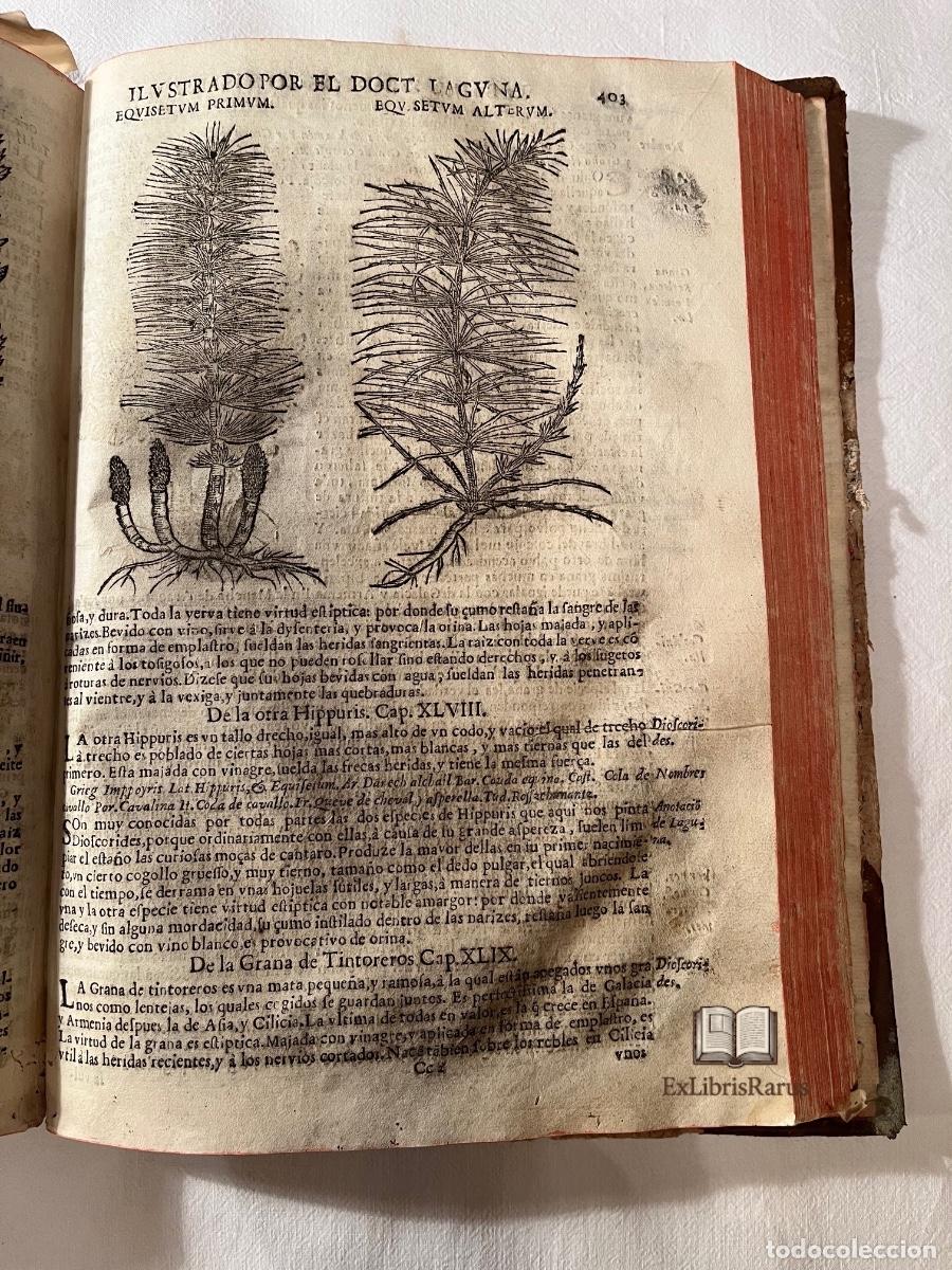 Libros antiguos: Diosc&oacute;rides Anazarbeo &ndash; Acerca de la Materia Medicinal y de los Venenos Mort&iacute;feros &ndash; Andr&eacute;s Laguna &ndash;