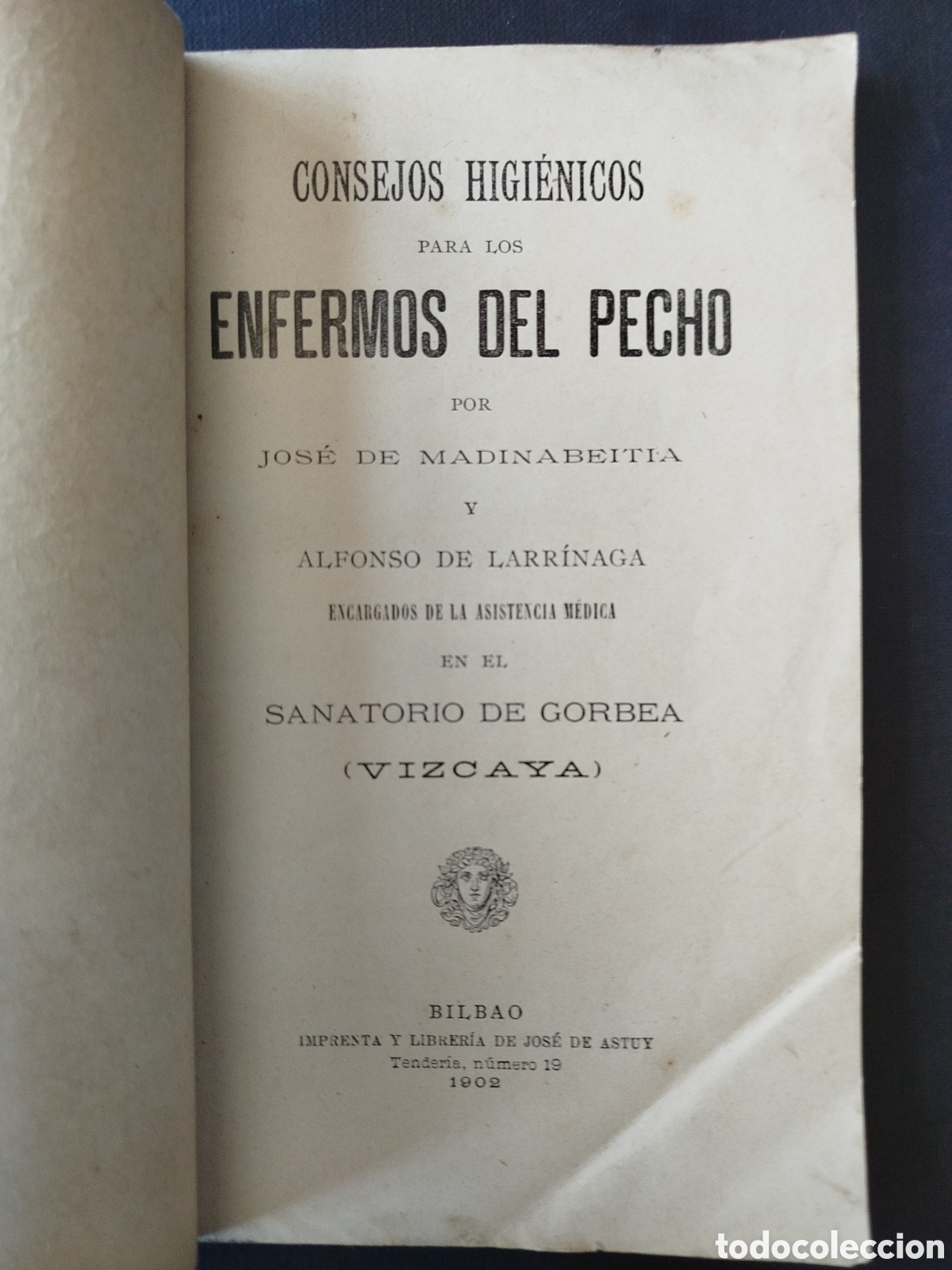 Libros antiguos: CONSEJOS HIGI&Eacute;NICOS PARA LOS ENFERMOS DEL PECHO POR J.M&ordf; MADINABEITIA Y A. LARRINAGA. GORBEA 1902