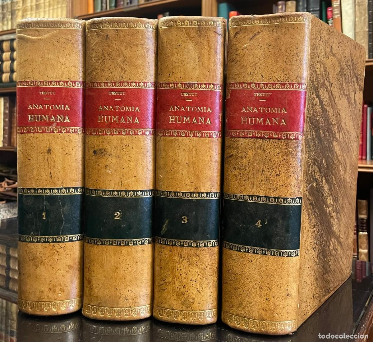 Libros antiguos: Tratado de Anatomia Humana. L. Testut