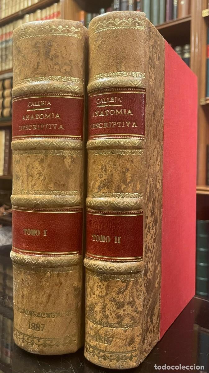 Libros antiguos: Nuevo Compendio de Anatom&iacute;a Descriptiva. Julian Calleja y Sanchez