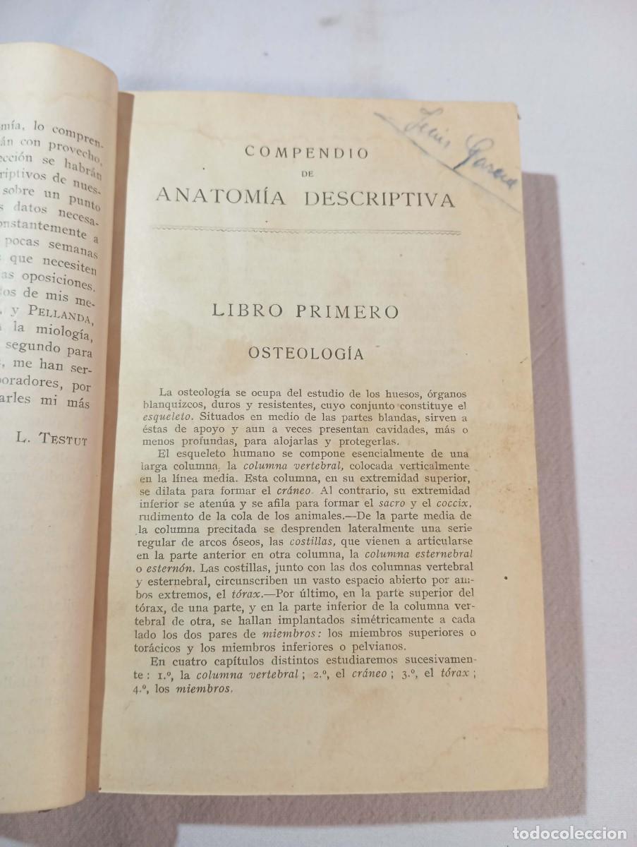 Libros antiguos: Testut Compendio Anatom&iacute;a Descriptiva Salvat 1922 Und&eacute;cima Edici&oacute;n Encuadernaci&oacute;n Valladolid